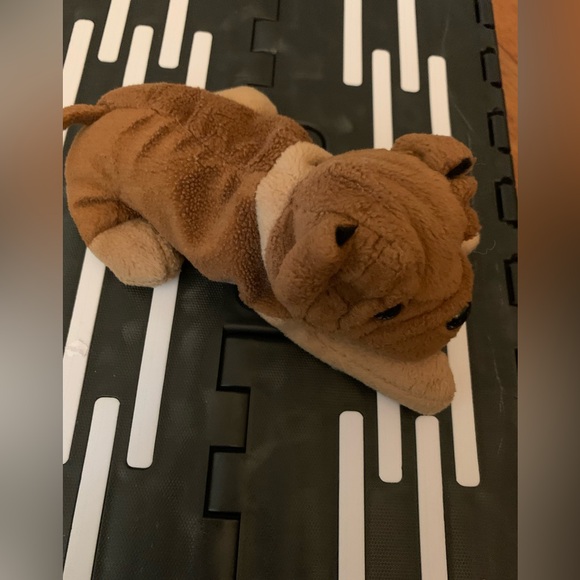 Beanie pup - Picture 2 of 5